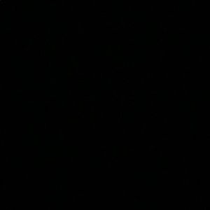 Meet your Posher, Ella